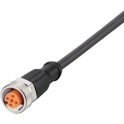 ifm Electronic EVC644 Aansluitkabel Aantal polen (sensoren): 5 Bus, recht 2 m 1 stuk(s)