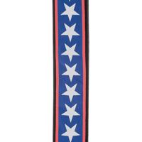 D&apos;Addario 50A10 gitaarband Stars & Stripes - thumbnail