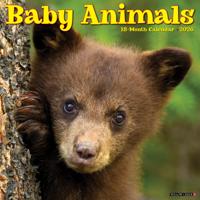 Baby Dieren Kalender 2026 - thumbnail
