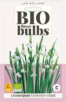Bio leucojum gravetye giant 3 bollen