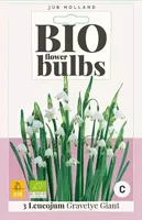 Bio leucojum gravetye giant 3 bollen - thumbnail