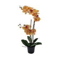 Phalaenopsis Orchidee in pot x2 50 cm Tiger Yellow kunstplant Buitengewoon de Boet - Buitengewoon de boet - thumbnail