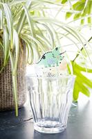 Folat BV Glasdecoratie dino roars, 6st. - thumbnail