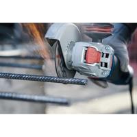 Bosch Accessories Bosch Power Tools 2608619254 Doorslijpschijf recht 125 mm 1 stuk(s) Metaal - thumbnail
