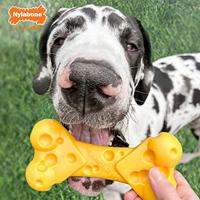 Nylabone dura chew cheese bone - thumbnail