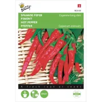 Zaden Spaanse Peper Cayenne long slim Buzzy - Buzzy - thumbnail