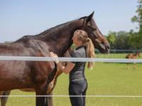 AKO platinumline schriklint 40 mm witblauw 200m - thumbnail