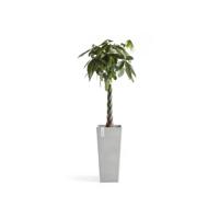 Ecopots Rotterdam High kunststof bloempot Wit/Grijs - Ø 30,3 cm - thumbnail
