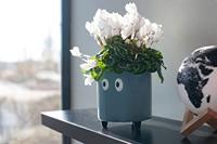 Bloempot met ogen - Blauw - thumbnail