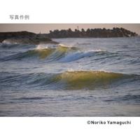 Sigma 100-400mm F5-6.3 DG DN OS (C) L-Mount - thumbnail