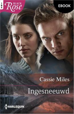 Ingesneeuwd - Cassie Miles - ebook