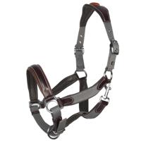 Arturo Florence halster grijs maat:cob - thumbnail