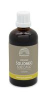 Mattisson HealthStyle Biologisch Solidago Complex Druppels - thumbnail