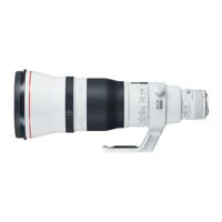 Canon EF 600mm F/4.0 L iS III USM + sunhood + transport case - thumbnail