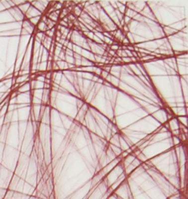 Vaessen Creative • sizoweb 5mx30cm in koker bordeauxrood