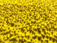 Norton Razorstar F990S fiberschijf 115mm P36 - thumbnail