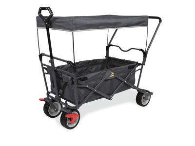 Pinolino Bolderkar Paddy Pinolino Bolderkar Paddy