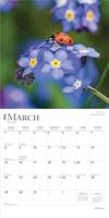 Wild Flowers Kalender 2026 - thumbnail