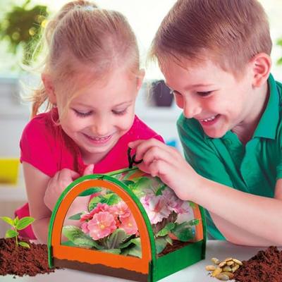 Botanie Ontdekking - Wetenschappelijke Kit - IK BEN EEN GENIUS POCKET - Miniatuurkas, Botanische Experimenten