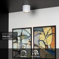 Lucide FEDLER - Plafondspot - Ø 12 cm - LED Dim to warm - GU10 (ES111) - 1x12W 2200K/3000K - Wit - thumbnail