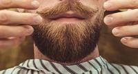 Hairgum Barber Collection Mandari Cedar Beard Oil 40ml - thumbnail