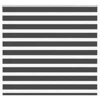 VidaXL Zebra rolgordijn 165x100 cm stofbreedte 160,9 cm zwart - thumbnail