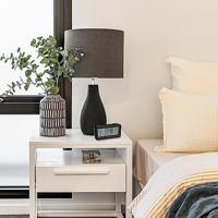 TFA Dostmann 60.2562.01.GB Wekker Zendergestuurd Zwart, Lichtblauw Alarmtijden 2 Groot display - thumbnail