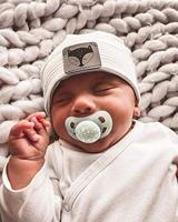 Goki houten trekdier kreeft rudiger - thumbnail