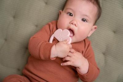Little Dutch Bijtring Bloem Silicone