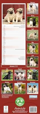Pug Slim Calendar 2026 Dog Breed Slimline Calendar - 12 Month