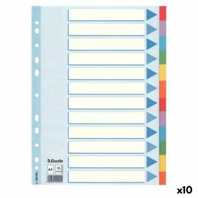 Spoorverbreders Esselte Multicolour A4 (10 Stuks)
