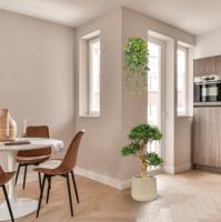 Philodendron Scandens Brasil kunst hangplant 80cm - thumbnail