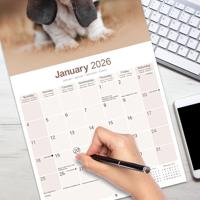 Basset Hound Kalender 2026 - thumbnail
