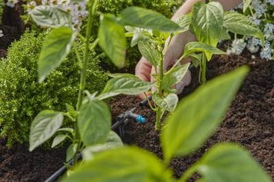 Gardena micro-drip druppelaar 2l