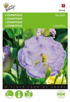 Zaden lisianthus sky blue 20 zaden Buzzy - Buzzy Zaden lisianthus sky blue 20 zaden Buzzy - Buzzy