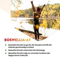 Boswellia-AF - 60 capsules - thumbnail