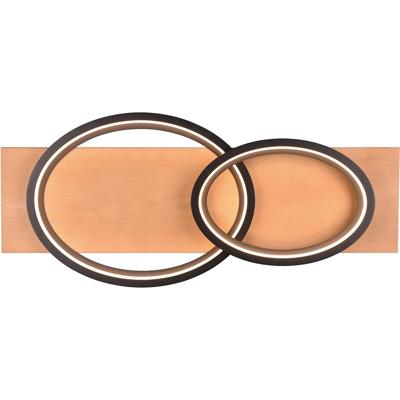 LED Plafondlamp 30W Warm Wit 3000K Dimbaar Mat Zwart Metaal