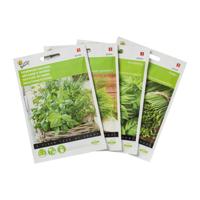 Basilicum Grootbladig - thumbnail