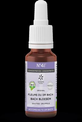 Bachbloesem Bio N°41 Druppels Concentratie 20ml