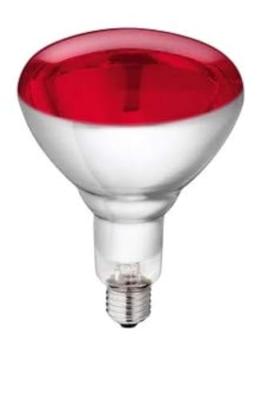 Infrarood gloeilamp Philips 923212043801 250 W E27