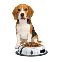 Nobleza Voerbak met handgrepen - RVS - Maat S - thumbnail