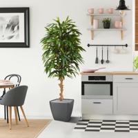 Longifolia Royal deluxe kunstboom 165cm - thumbnail