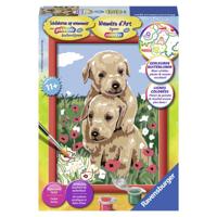 Schilderen op nummer Ravensburger Knuffelende puppies - thumbnail