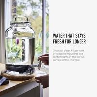 Zwarte+Blum Actieve Houtskool Waterfilter x 4 - thumbnail
