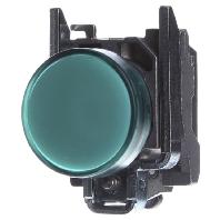 Schneider Electric XB4BVB3 Signaallamp Groen 24 V/DC, 24 V/AC 1 stuk(s)