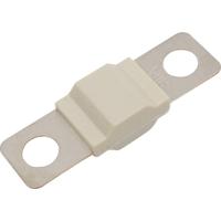TRU COMPONENTS TC-13545892 Zekering 80 A 80 V/DC Inhoud 10 stuk(s) Bulk - thumbnail