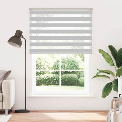 VidaXL Zebra rolgordijn 160x200 cm stofbreedte 155,9 cm lichtgrijs VidaXL Zebra rolgordijn 160x200 cm stofbreedte 155,9 cm lichtgrijs