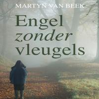 Engel zonder vleugels - thumbnail