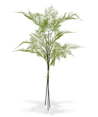 3x Asparagus kunsttak 85 cm - bundel