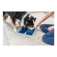 TRIXIE DOG ACTIVITY POKER BOX 2 - thumbnail